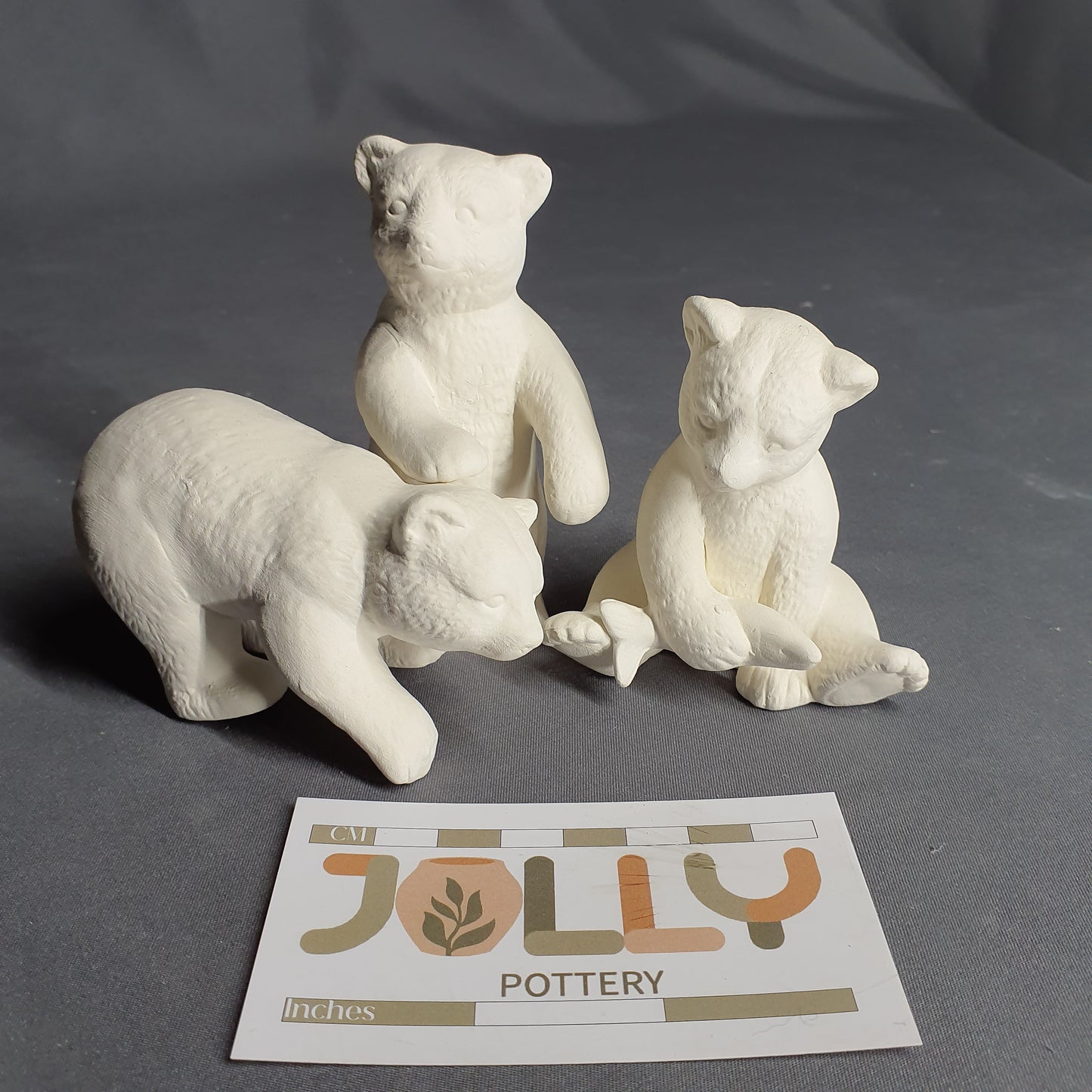 Bear Cubs
