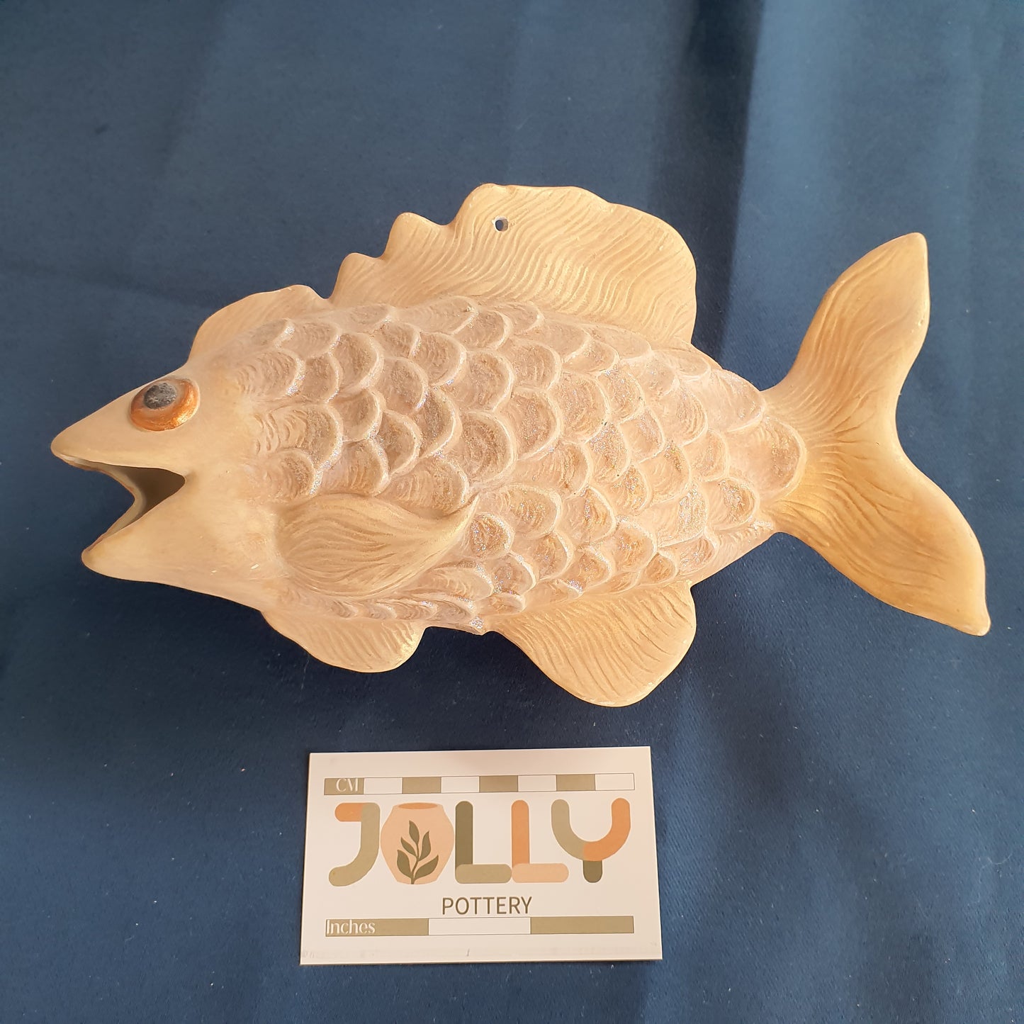 Fancy Fish