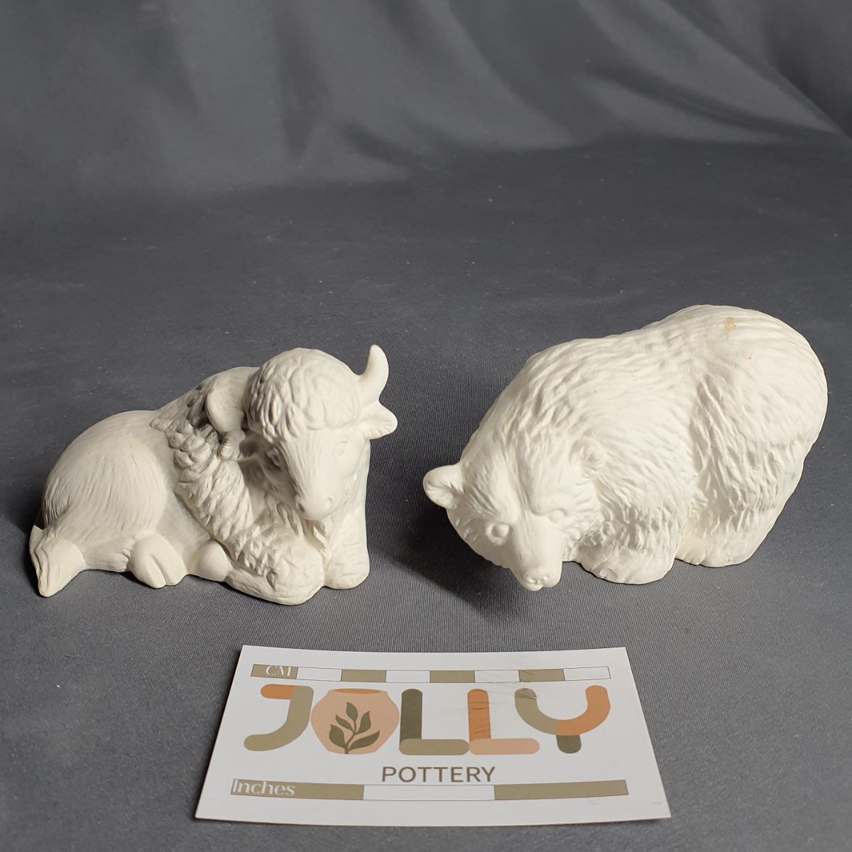 Bison and Bear