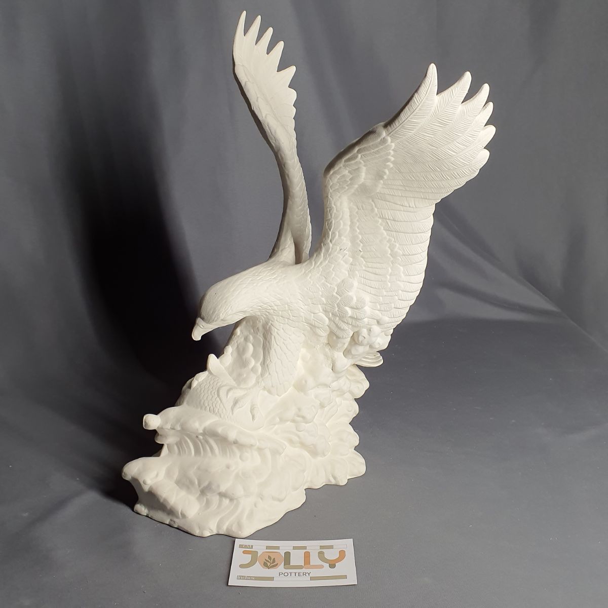 Eagle Catching Fish