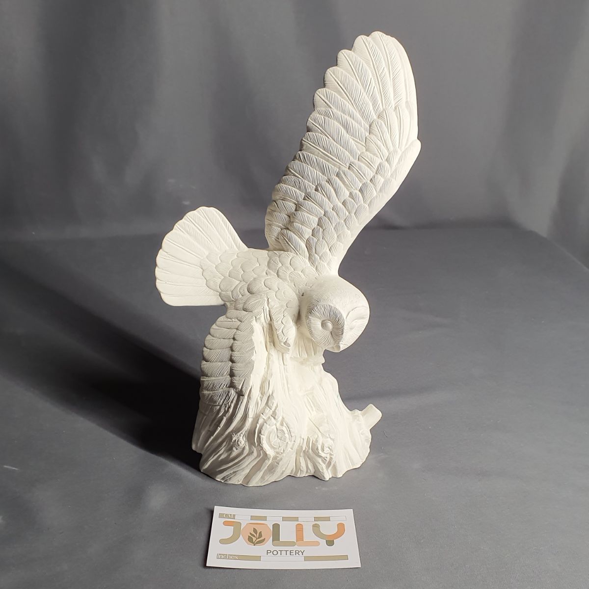 Large Flying Owl