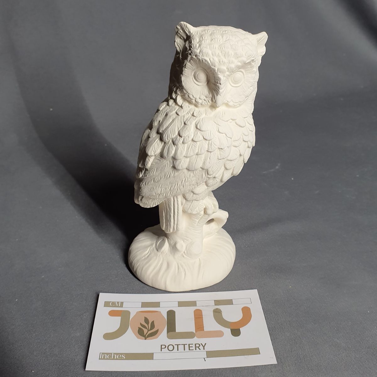 Owl