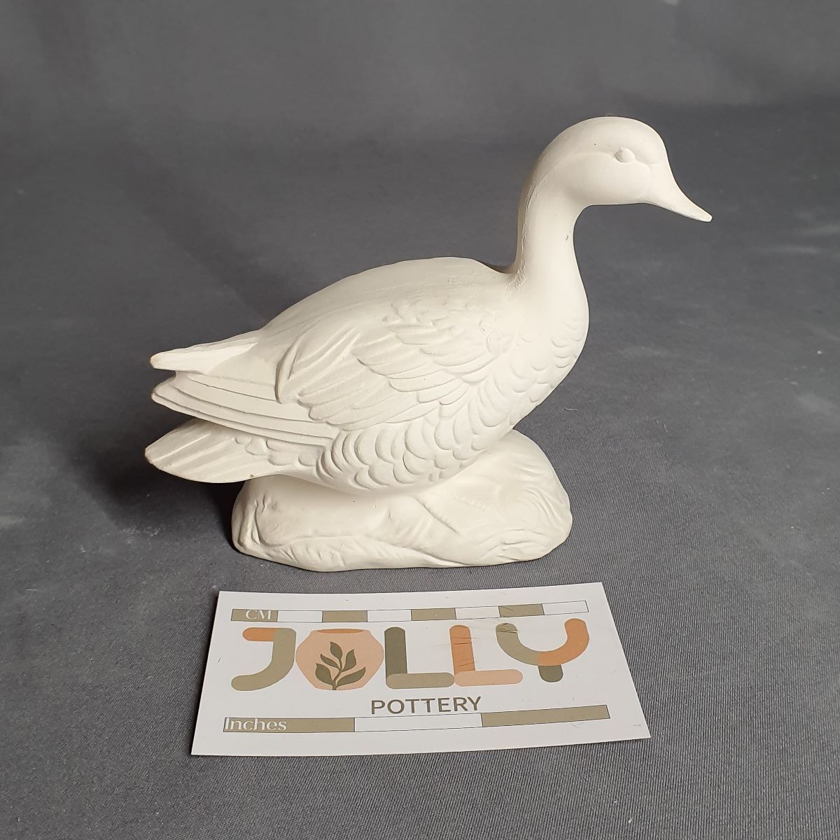 Duck on Grass
