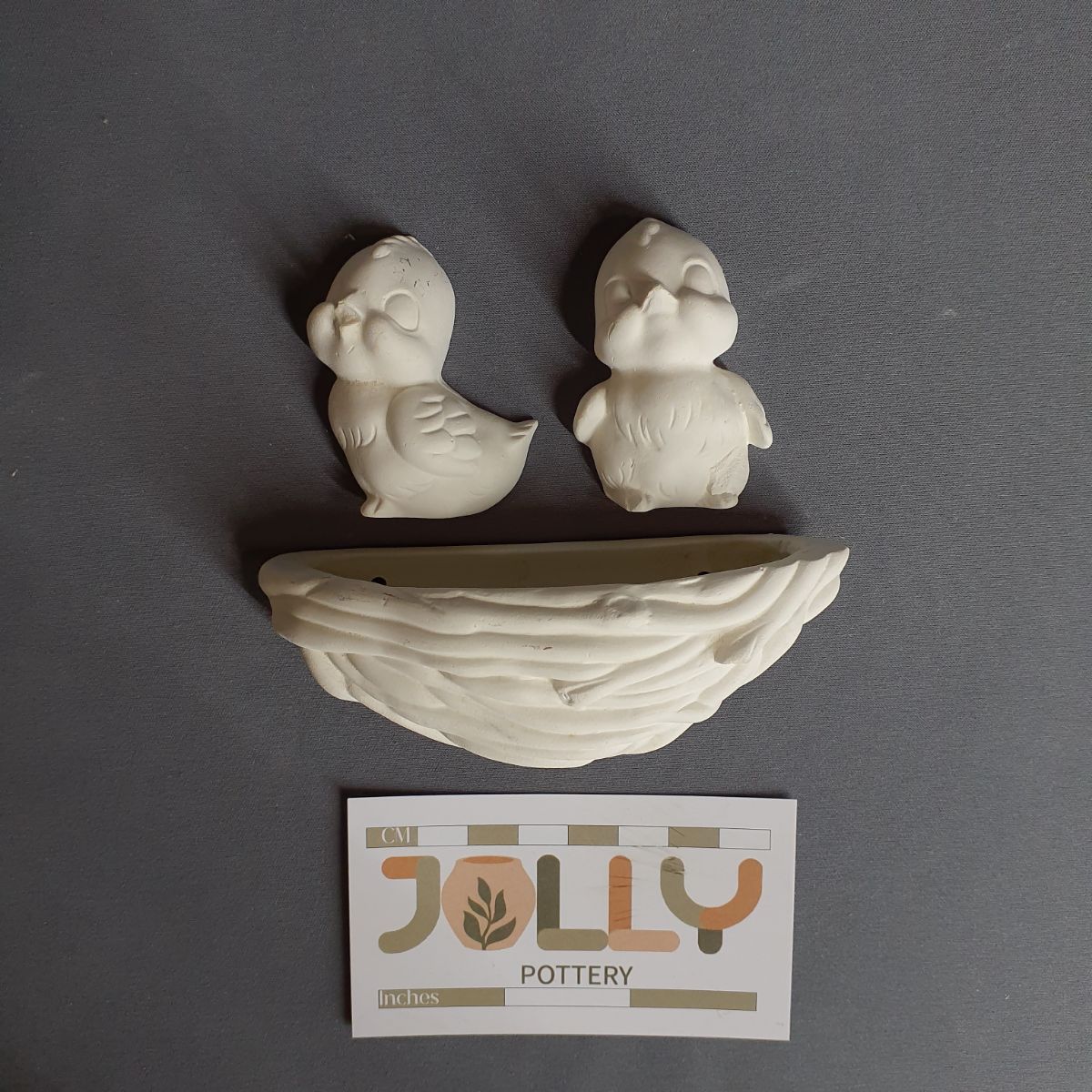 Flat Nest with Chicks