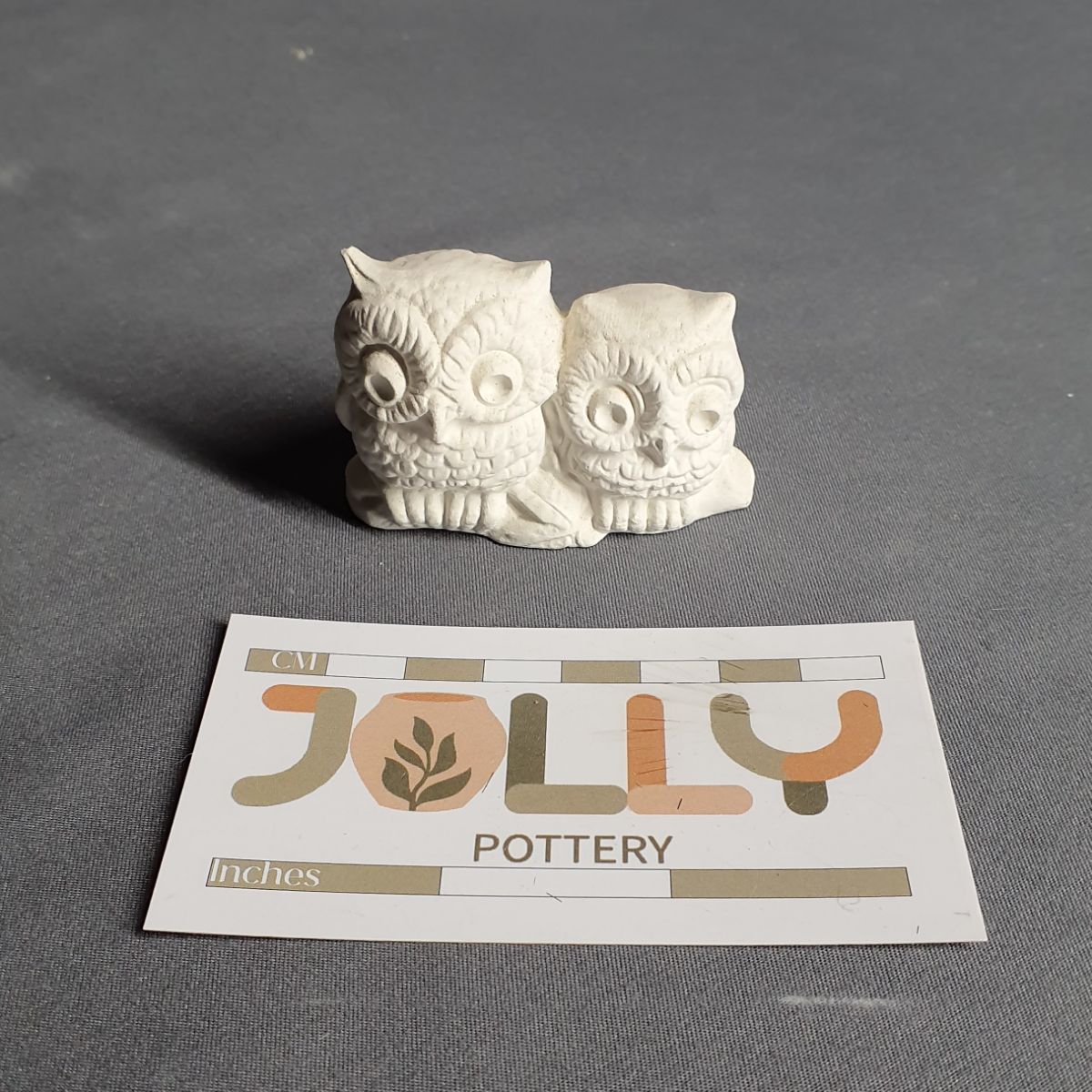 Small Owl Couple