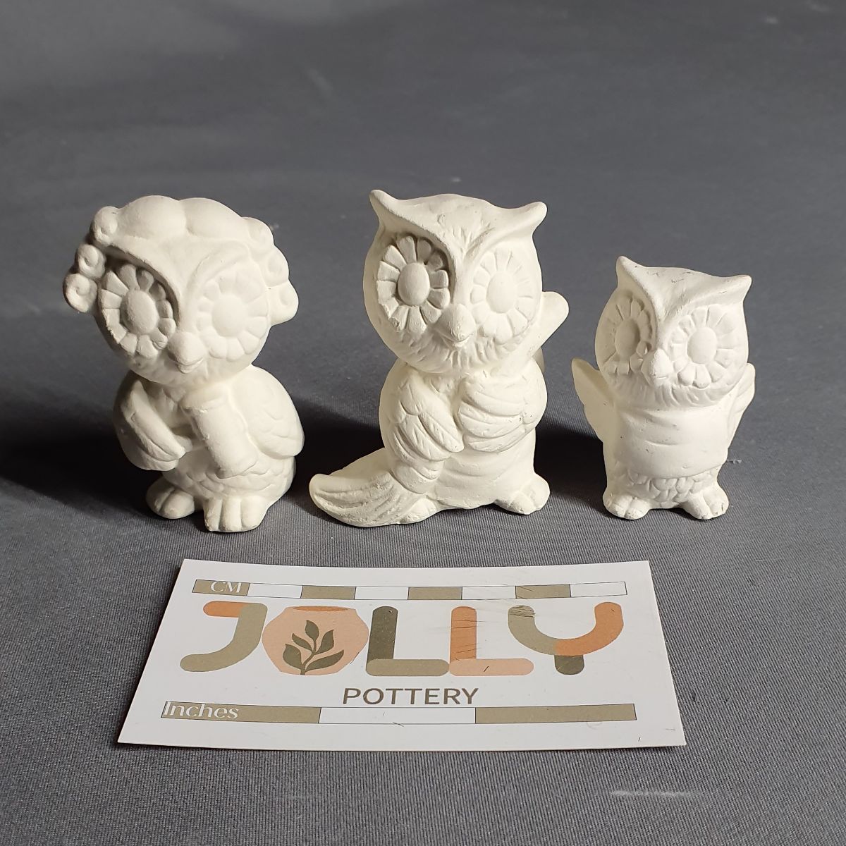 Small Owl Family