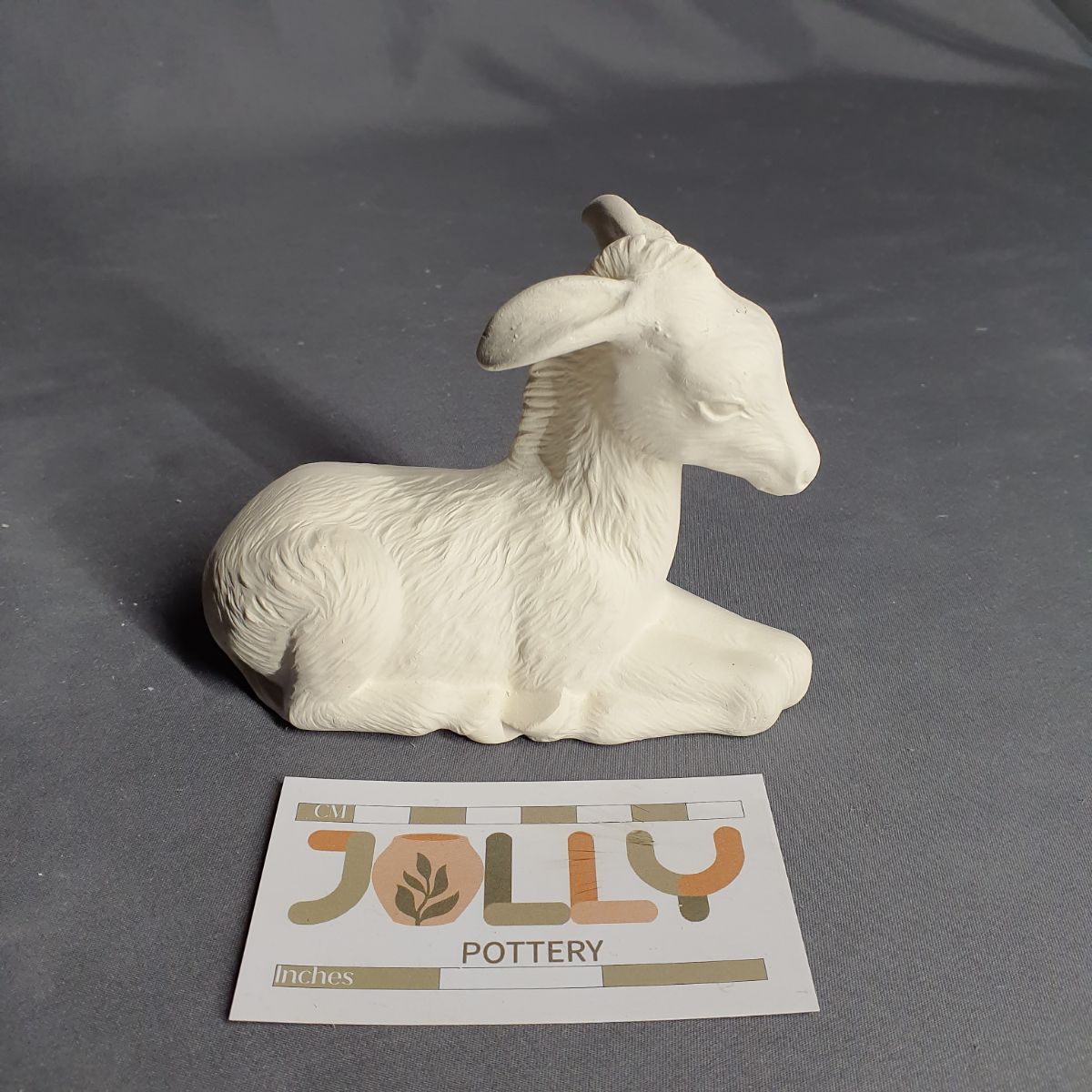 Donkey Resting