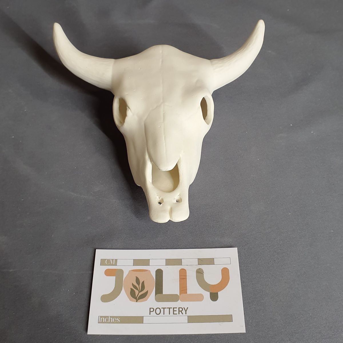 Cow Skull