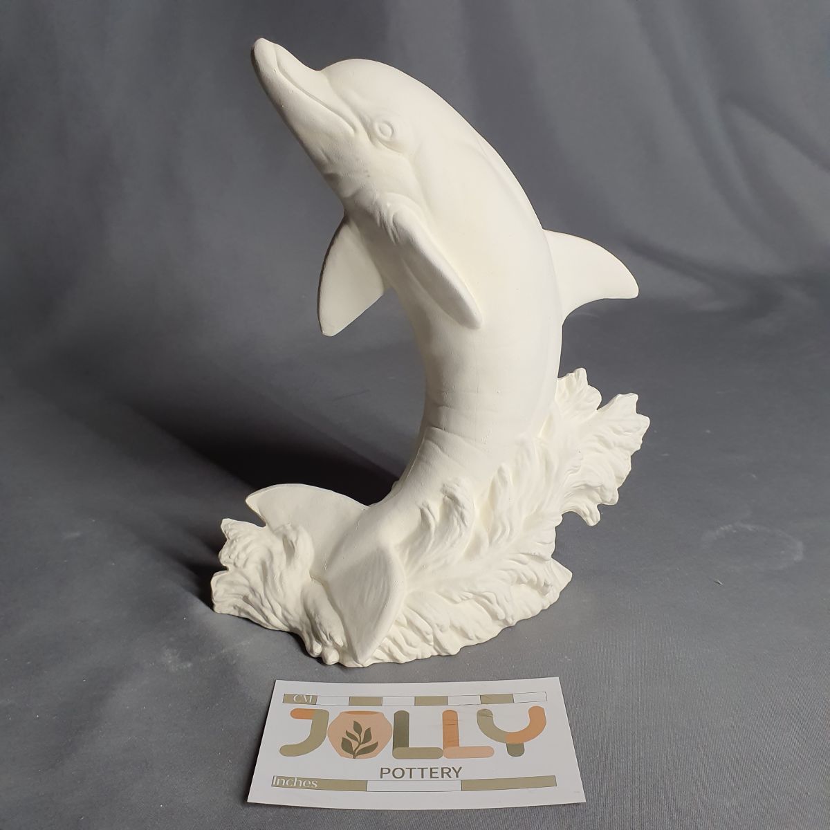 Dolphin Jumping