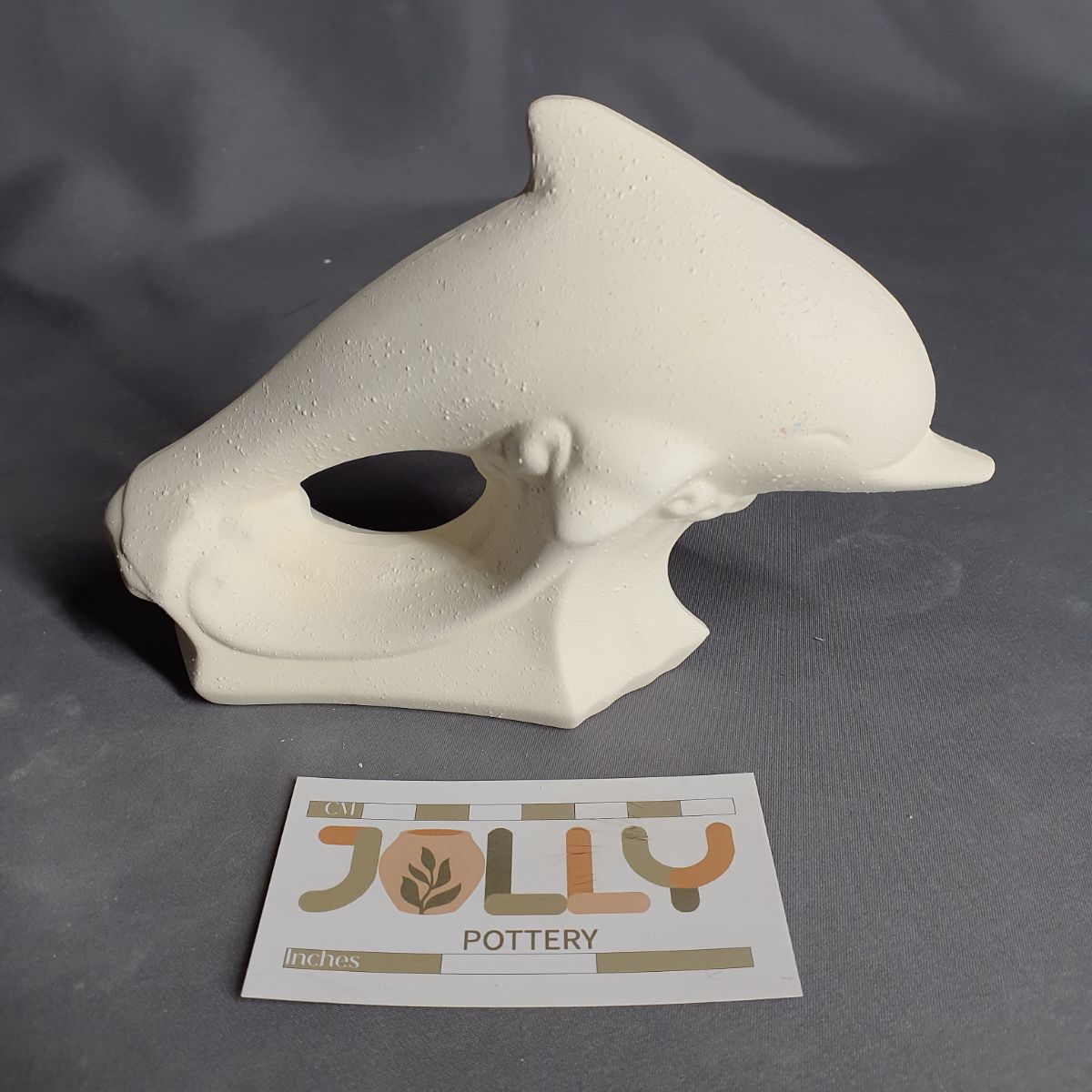 Dolphin
