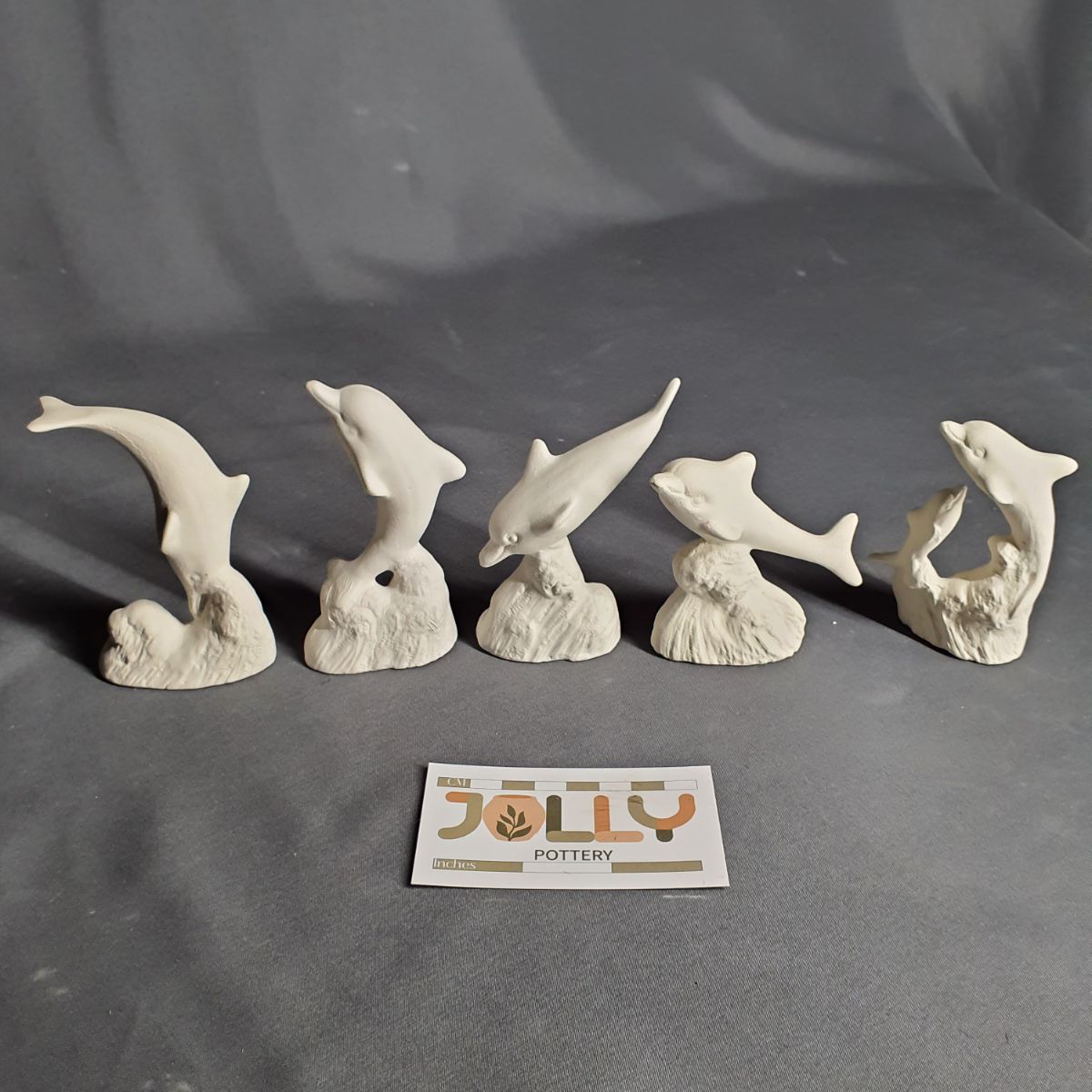 Small Dolphins