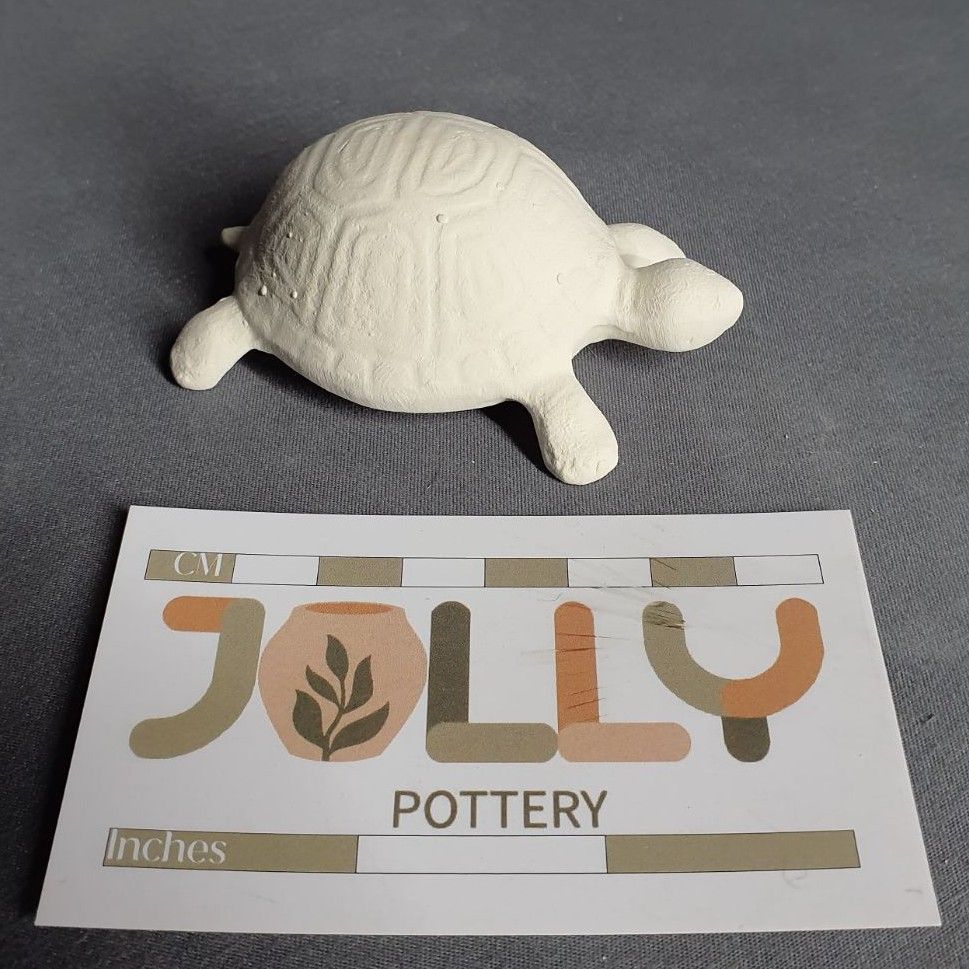 Small Tortoise