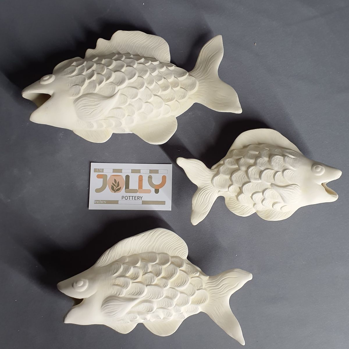 Fancy Fish