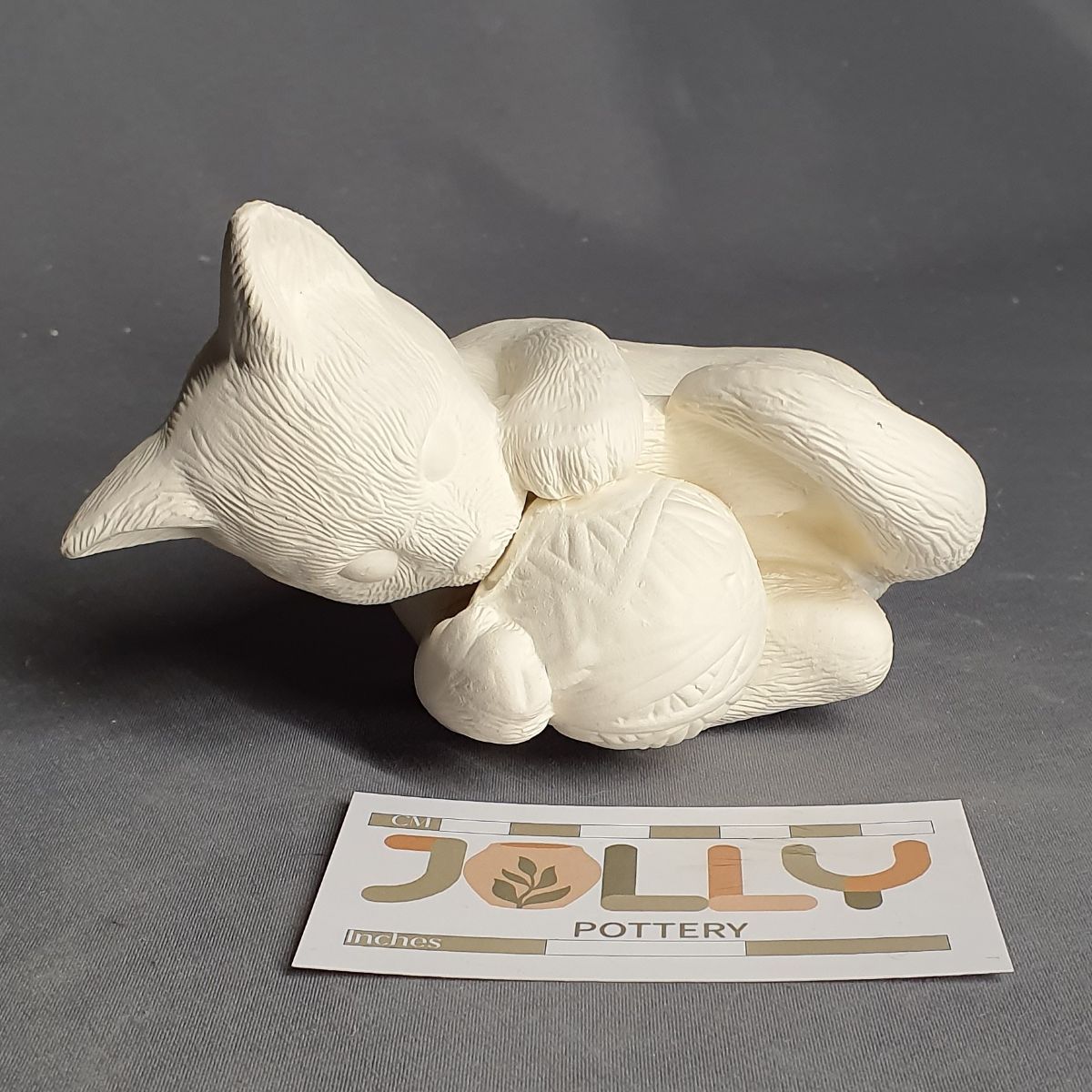 Cat Playing with Yarn