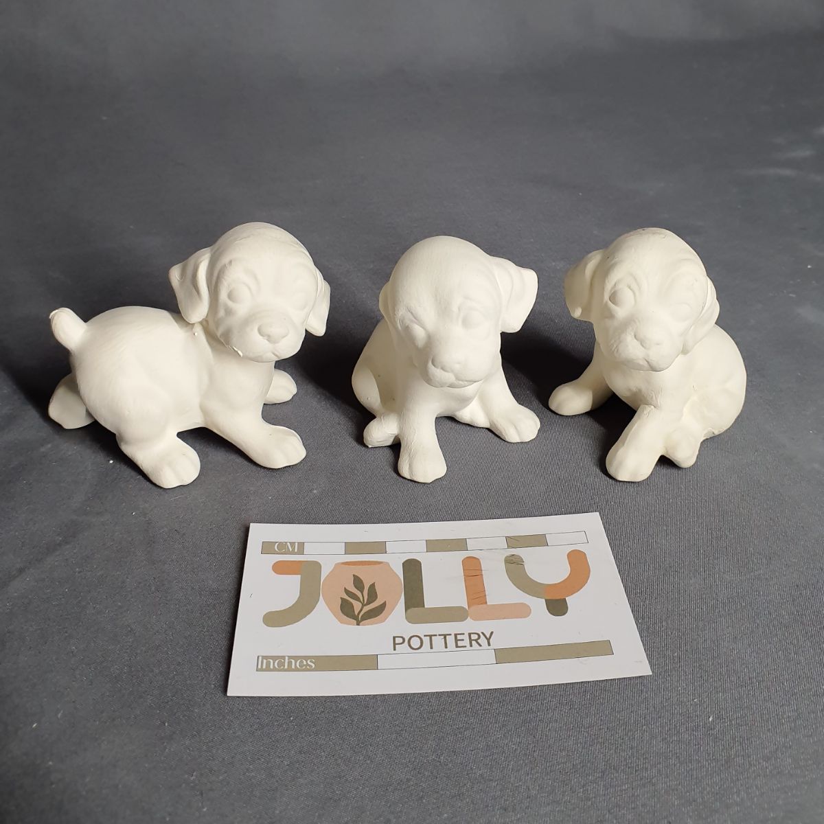 Small Playfull Puppies