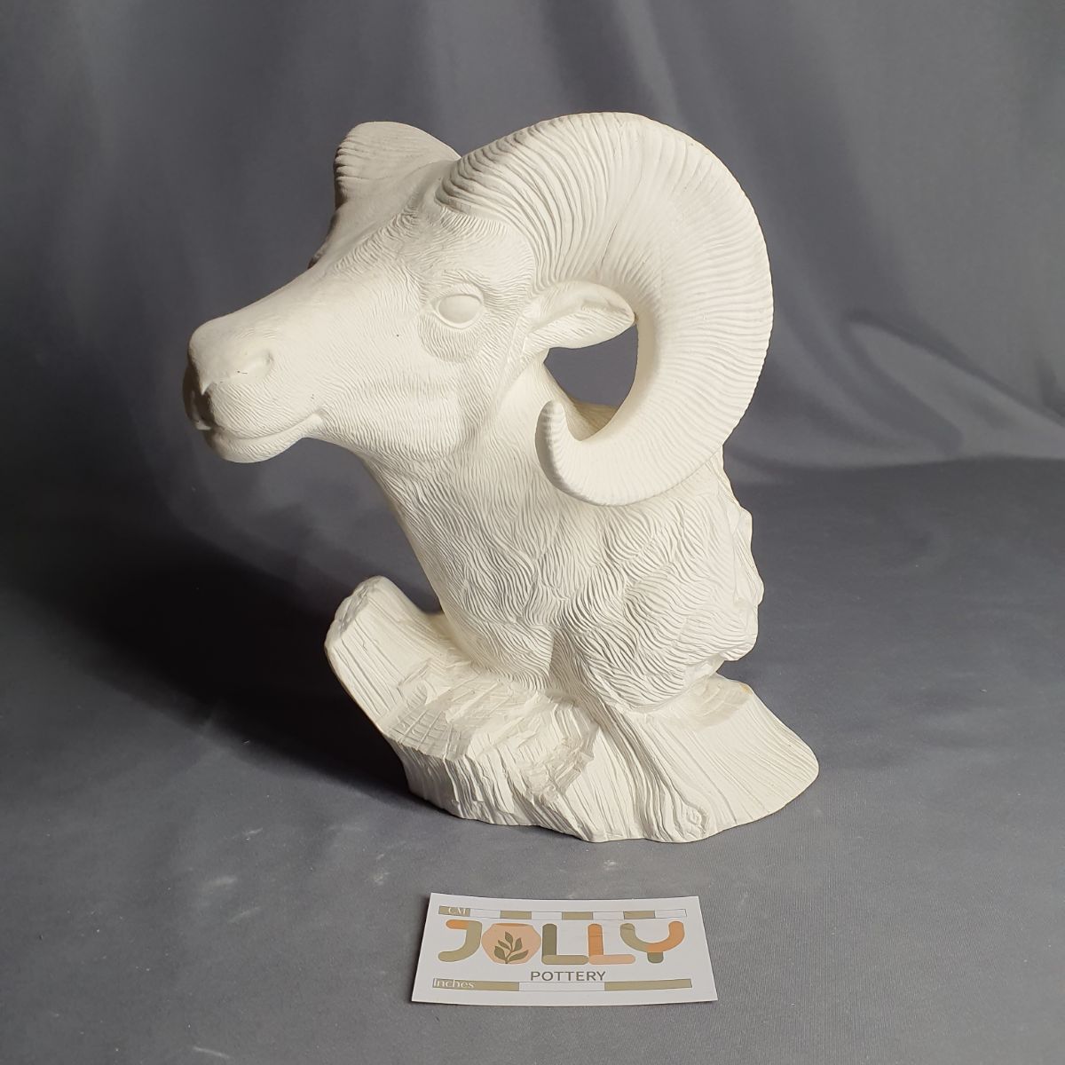 Bighorn Ram Bust