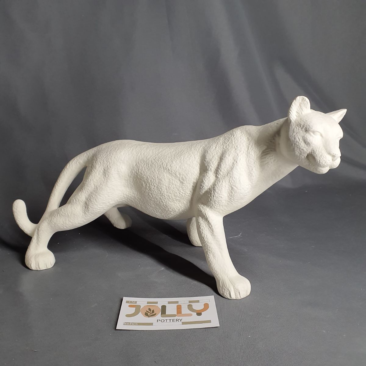 Large Cougar