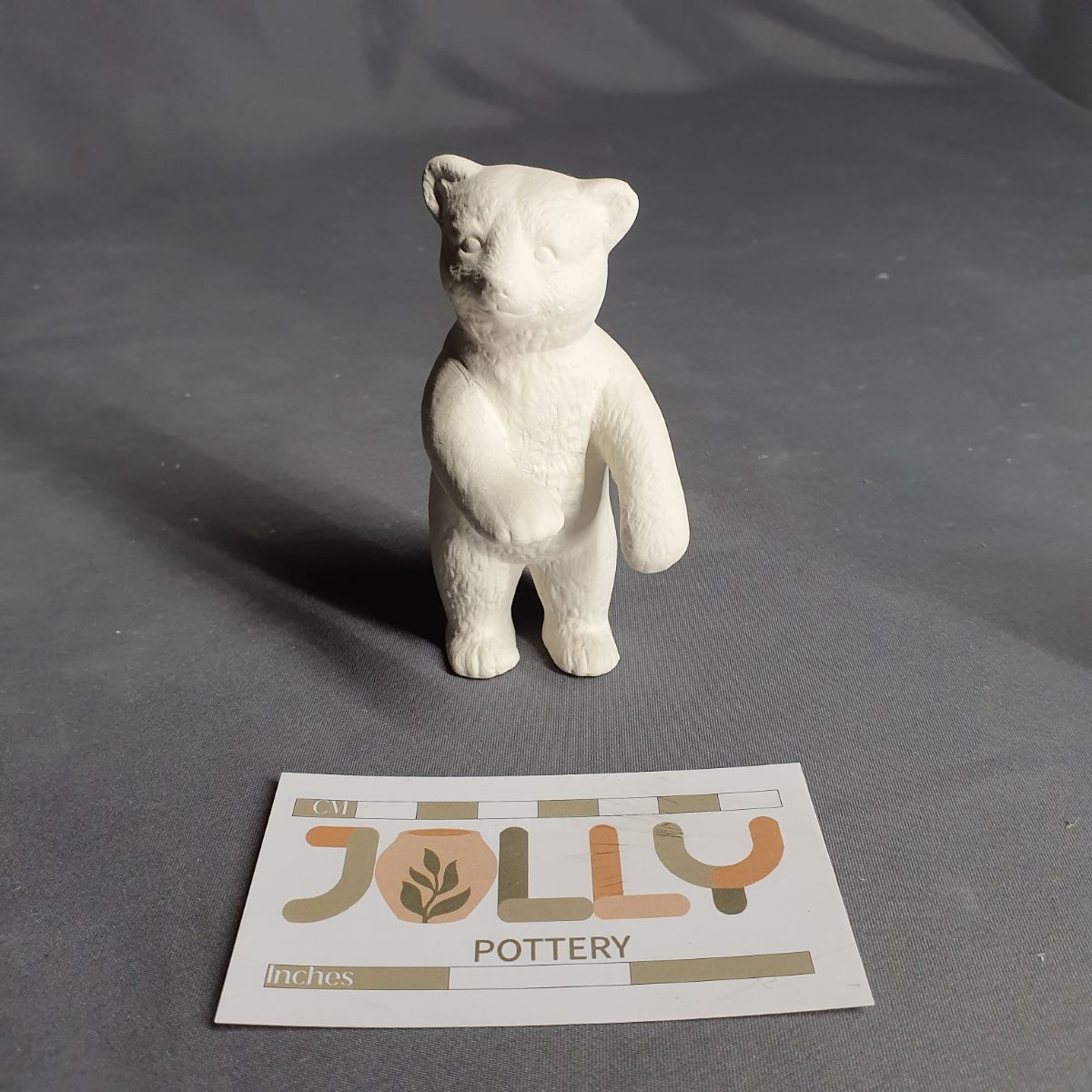 Bear Cubs