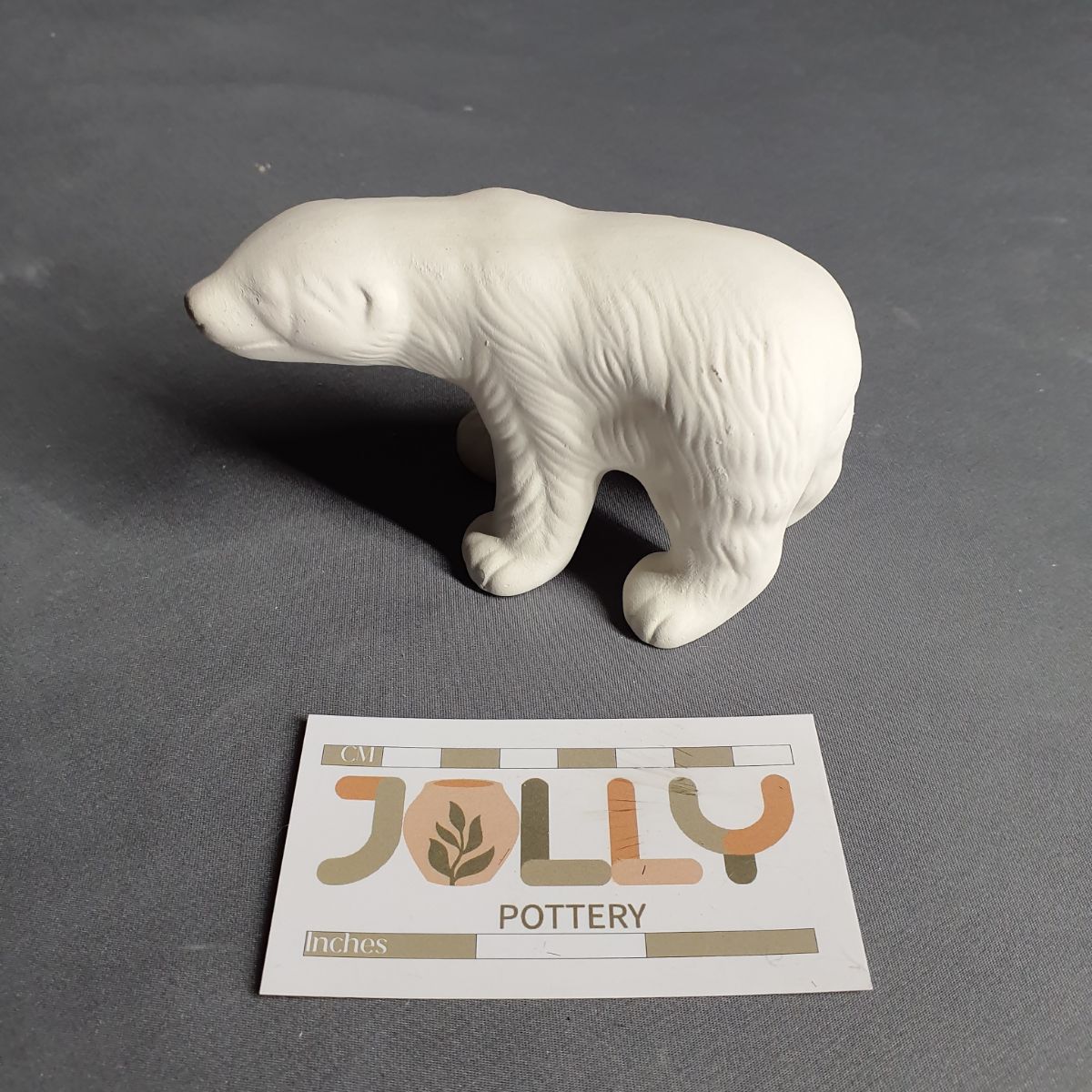 Small Polar Bear