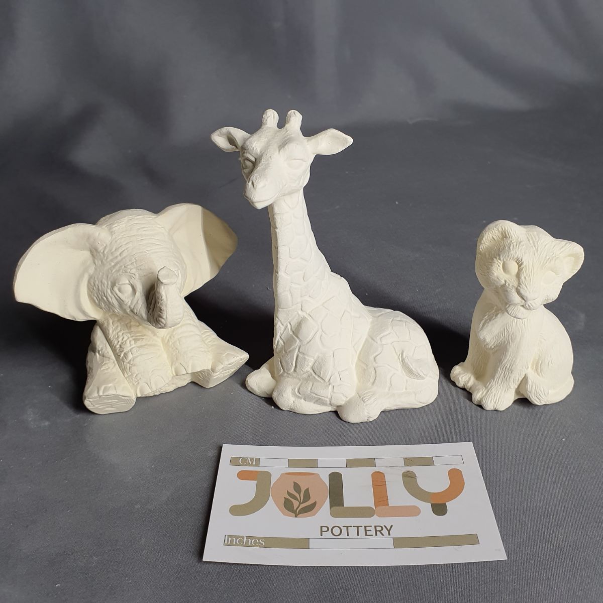 Small Zoo Animals
