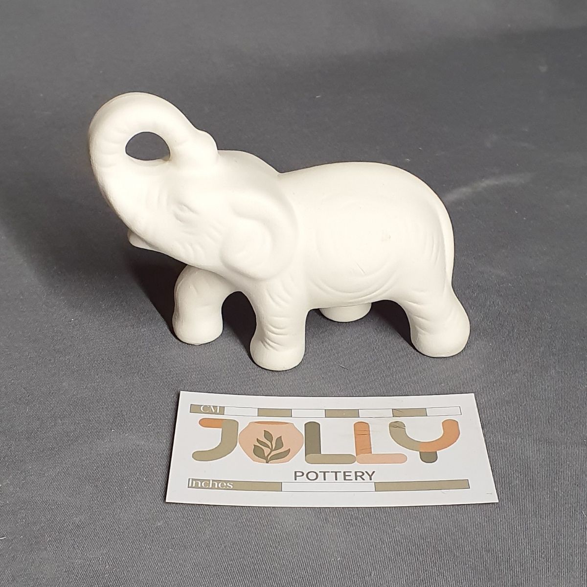 Baby Elephant
