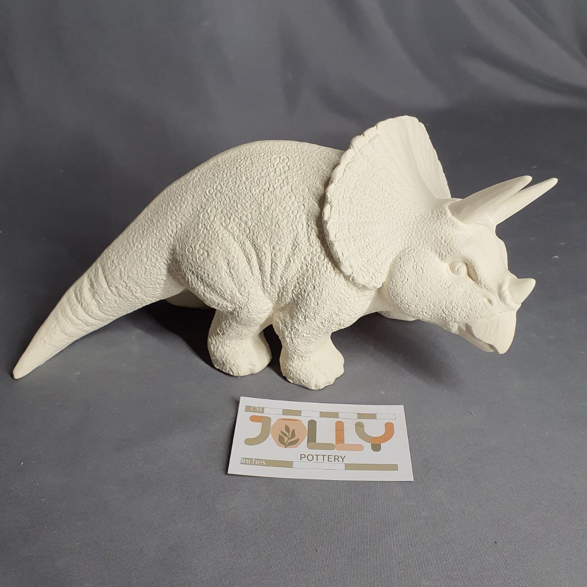 Triceratops Dinosaur