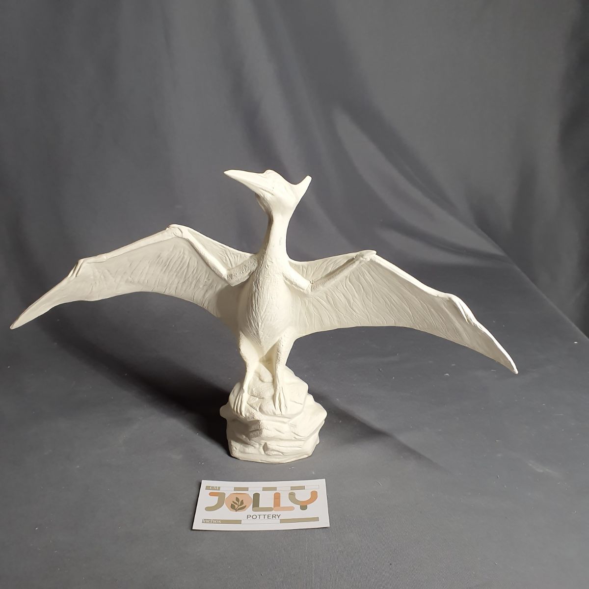 Pteranodon Dinosaur