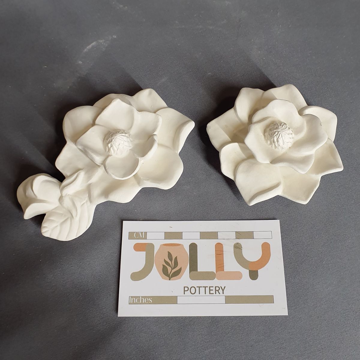 Flat Magnolia Flowers