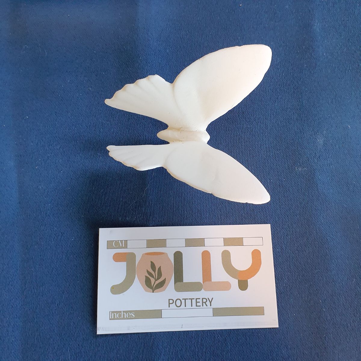 Butterfly 2