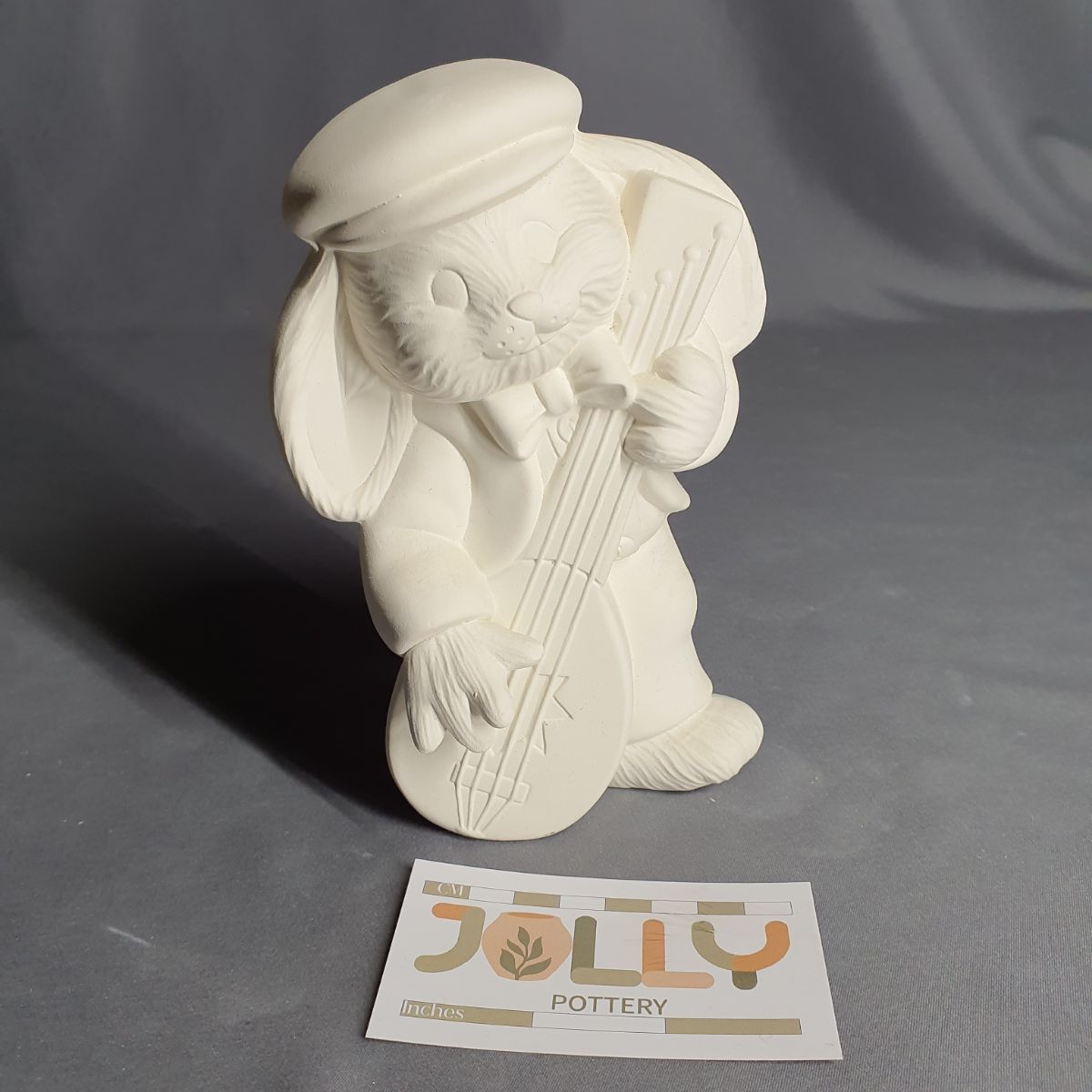 Bunny Playing Instrument