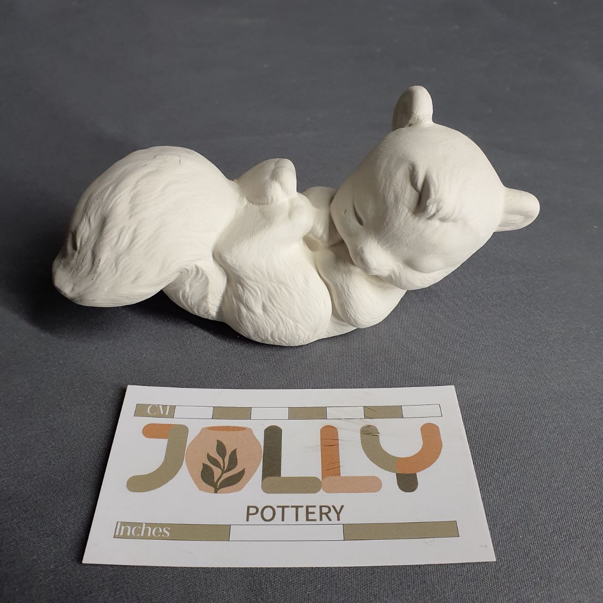 Sleeping Squirrel