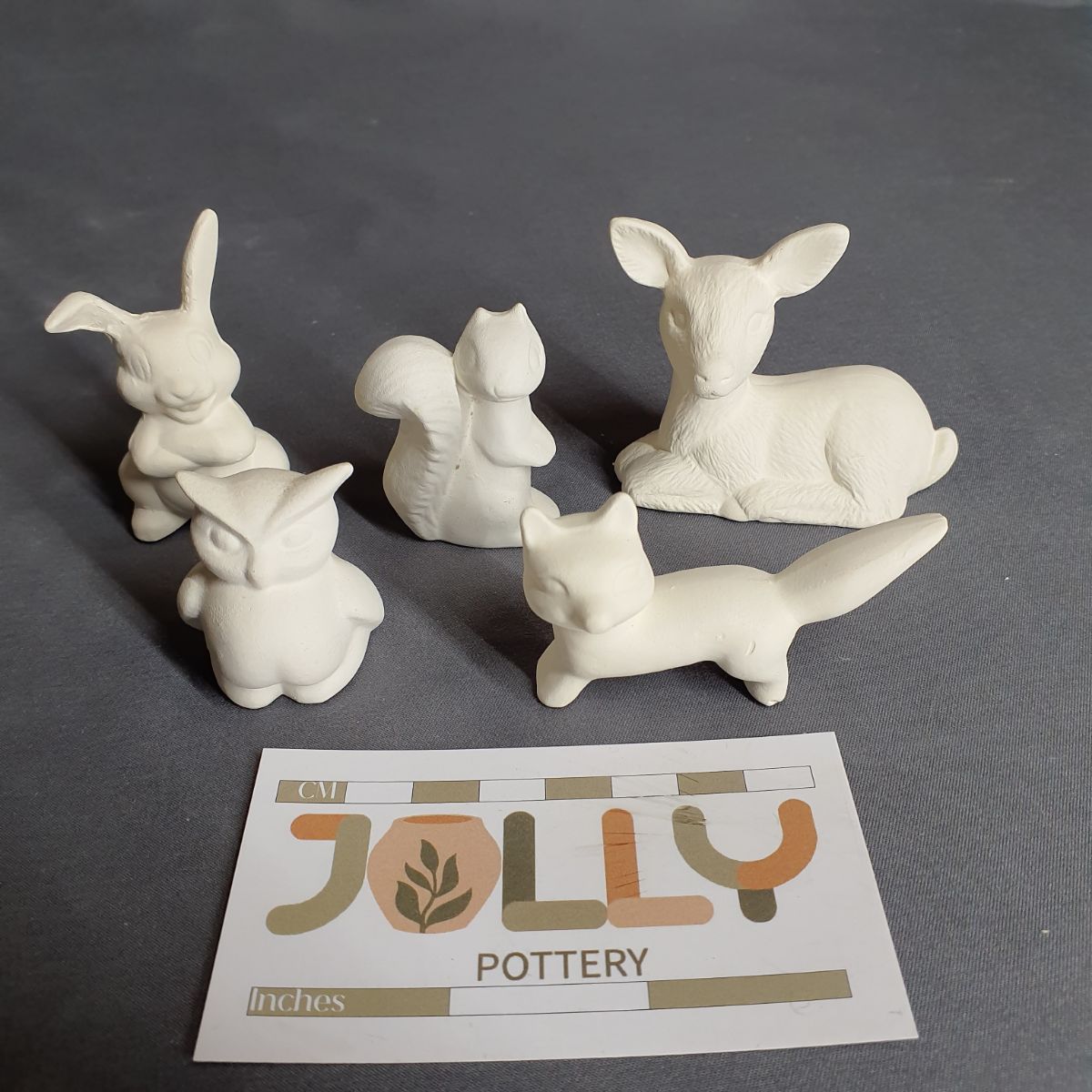 Small Forest Animals