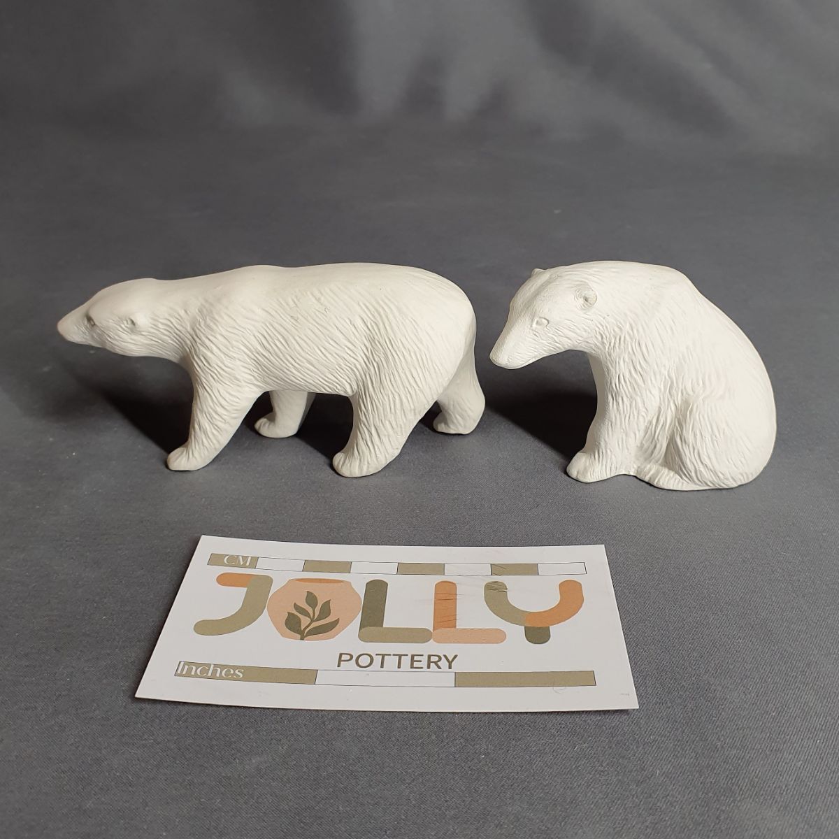 Polar Bears