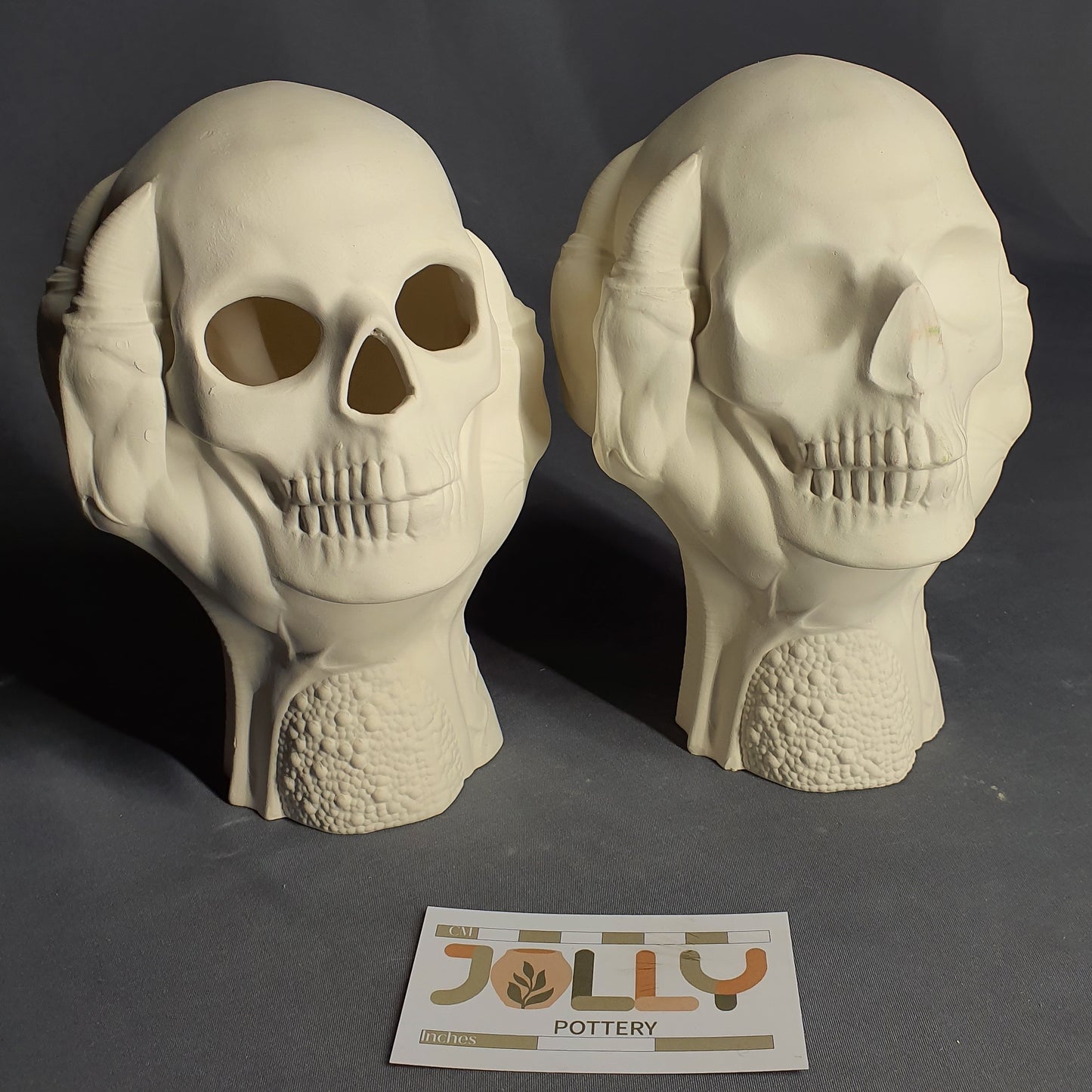 Human Skull in Hand Decor