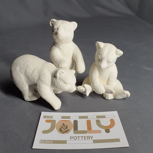 Bear Cubs