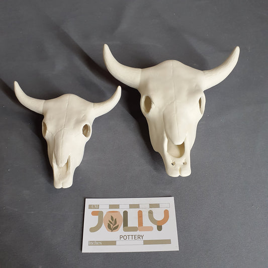 Cow Skull