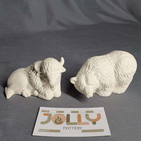 Bison and Bear