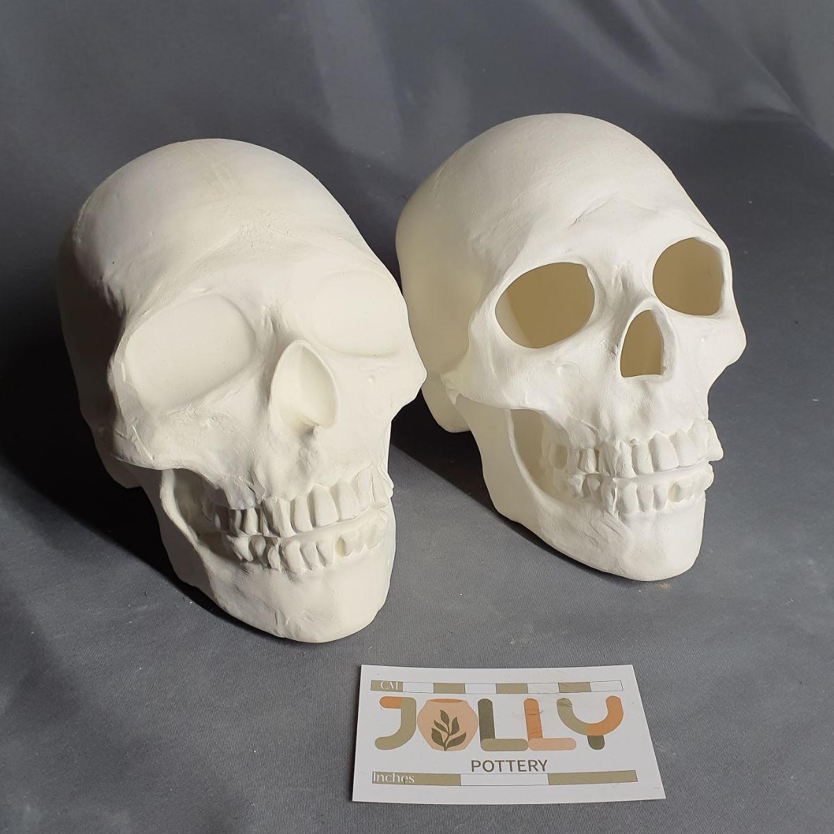 Human Skull Decor