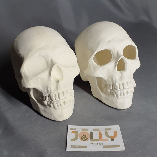 Human Skull Decor