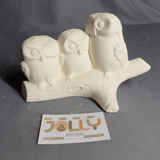 Owls on Branch