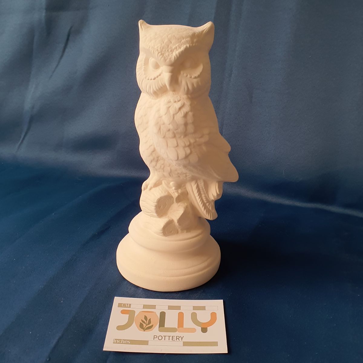 Medium Owl