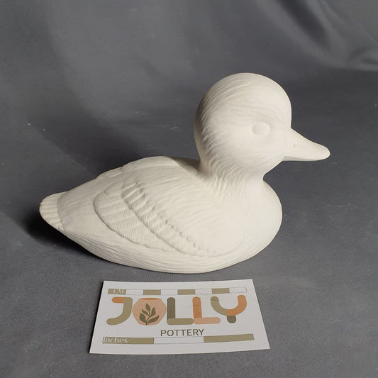Duckling