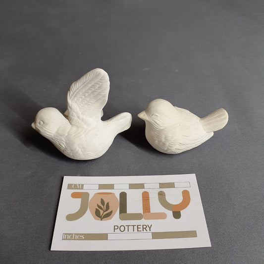 Small Birds