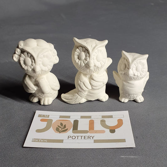 Small Owl Family