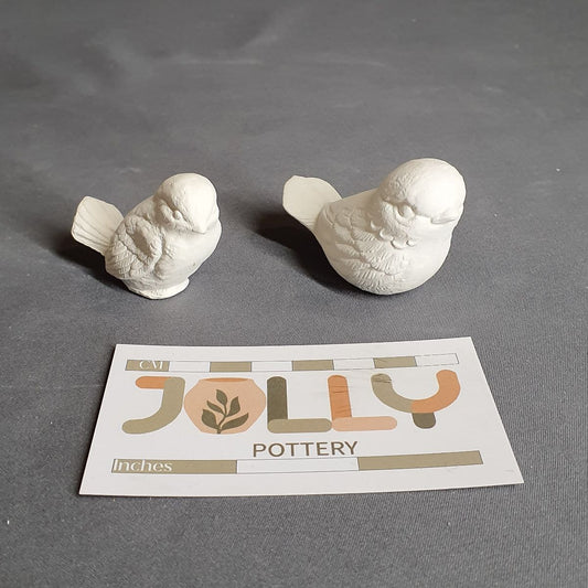 Small Birds 2