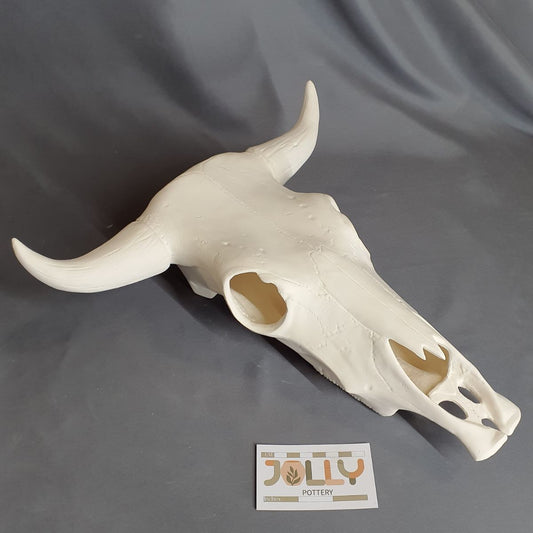 Large Cow Skull