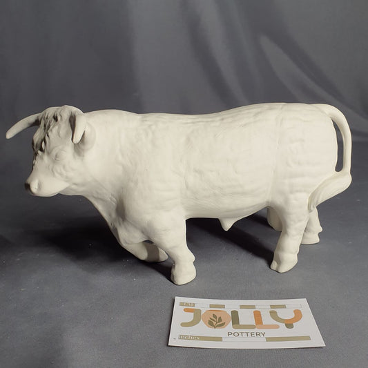 Bull