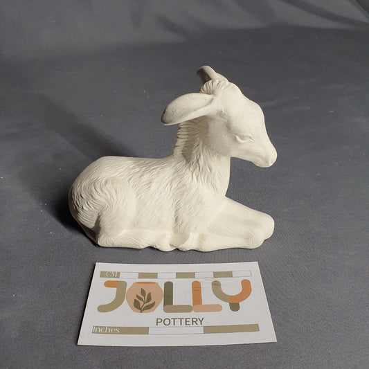 Donkey Resting