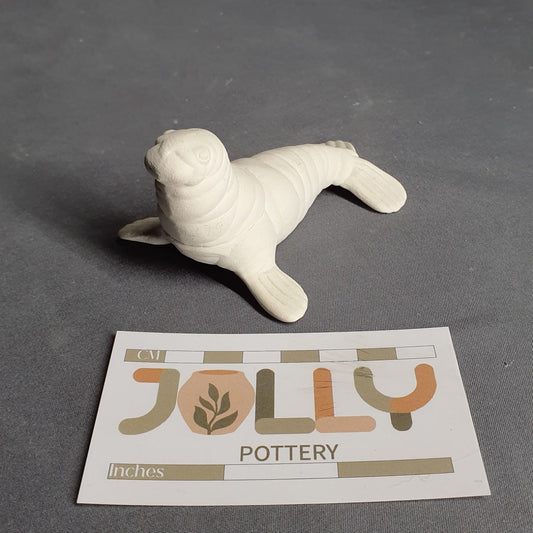 Baby Walrus