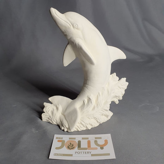 Dolphin Jumping